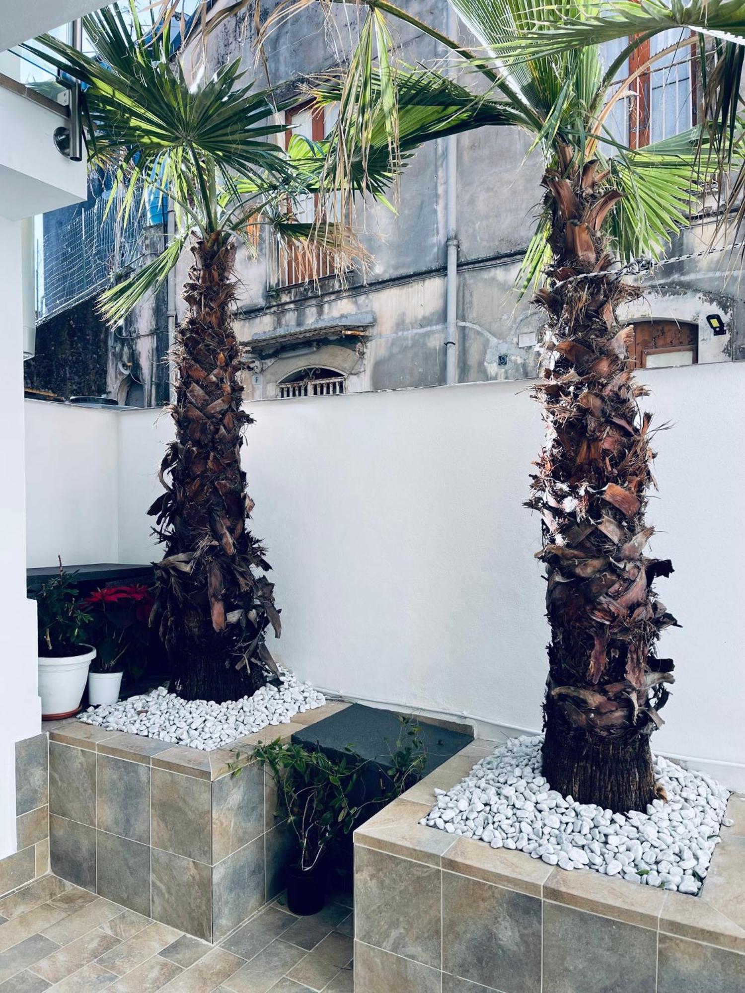 King House Catania Hostel Ostello Exterior photo